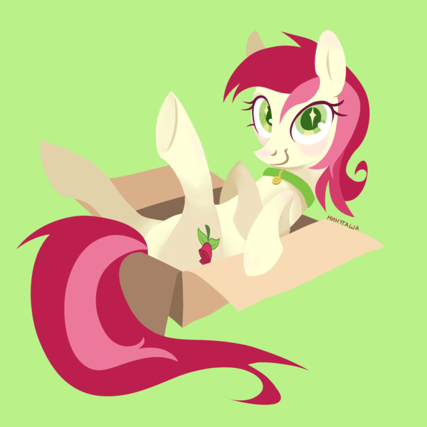 Size: 3508x3508 | Tagged: safe, artist:минтташа, derpibooru import, roseluck, earth pony, pony, behaving like a cat, blushing, box, collar, commission, commissioner:doom9454, cute, image, looking at you, pet tag, png, pony in a box, pony pet, rosepet, simple background, smiling, solo