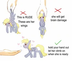 Size: 1939x1639 | Tagged: safe, artist:astralblues, derpibooru import, derpy hooves, human, pegasus, pony, chibi, hand, how to handle a pony, image, jpeg, meme, ponified meme, simple background, solo, tiny, tiny ponies, white background