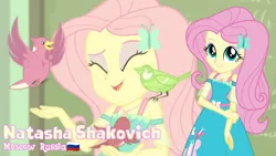 Size: 3410x1920 | Tagged: safe, artist:edy_january, artist:ftvs-cm45, derpibooru import, edit, edited screencap, screencap, fluttershy, bird, human, equestria girls, alternate name, eyes closed, female, geode of fauna, holding arms, image, looking at you, magical geodes, png, smiling, smiling at you, solo, vector used