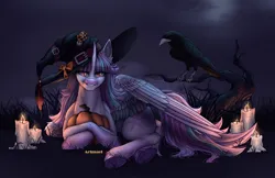 Size: 2381x1547 | Tagged: safe, artist:artmael sverr, derpibooru import, oc, unofficial characters only, alicorn, bird, pony, raven (bird), alicorn oc, candle, crossed hooves, hat, horn, image, jpeg, looking at you, pumpkin, raised tail, solo, tail, underhoof, wings