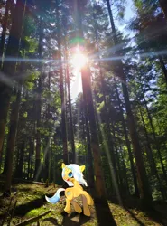 Size: 1516x2048 | Tagged: safe, artist:miwq, derpibooru import, oc, oc:aurore soleilevant, pony, unicorn, forest, image, irl, light, looking at you, orange coat, photo, png, ponies in real life, solo, tree