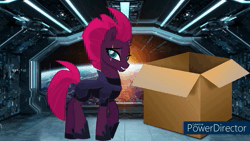 Size: 1280x720 | Tagged: safe, derpibooru import, rainbow dash, tempest shadow, pegasus, pony, unicorn, animated, bedroom, bliss (powerpuff girls 2016), box, buttercup (powerpuff girls), butterprey (ppg), crossover, duo, duo female, earth, eaten alive, endosoma, female, female pred, female prey, image, inside stomach, internal, lunch, mp4, non-fatal vore, preddash, sleeping, space, stomach noise, tempred, the powerpuff girls, vore, youtube, youtube link, youtube video