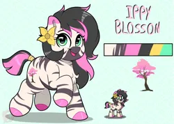 Size: 2420x1720 | Tagged: safe, artist:joaothejohn, derpibooru import, oc, oc:ippy blossom, pony, zebra, pony town, adoptable, chest fluff, cute, female, flower, image, looking up, png, reference sheet, simple background, solo, walking, zebra oc