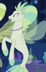 Size: 405x625 | Tagged: safe, derpibooru import, screencap, seapony (g4), surf and/or turf, aestuarium, background sea pony, coral, cropped, dorsal fin, female, fin, fin wings, fins, fish tail, g4, image, jewelry, makeup, male, male focus, necklace, ocean, ocean mist, offscreen character, open mouth, open smile, png, scales, seaquestria, seaweed, smiling, solo focus, tail, tail fin, underwater, water, wings