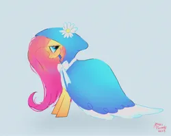 Size: 2048x1620 | Tagged: safe, artist:petaltwinkle, derpibooru import, fluttershy, pegasus, pony, blue background, cloak, clothes, female, flower, hood, image, jpeg, mare, profile, signature, simple background, smiling, solo