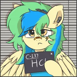 Size: 1186x1186 | Tagged: safe, artist:hcl, derpibooru import, oc, oc:hcl, unofficial characters only, pegasus, pony, bandaid on nose, barbie mugshot meme, bust, ear fluff, eye clipping through hair, frown, hoof hold, image, meme, mugshot, multicolored mane, pen, png, thousand yard stare, yellow eyes
