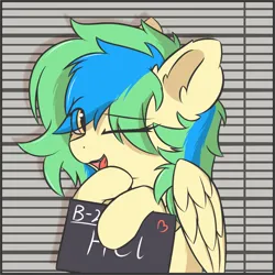 Size: 1186x1186 | Tagged: safe, artist:hcl, derpibooru import, oc, oc:hcl, pegasus, pony, barbie mugshot meme, bust, ear fluff, eye clipping through hair, hoof hold, image, looking at you, meme, mugshot, multicolored mane, one eye closed, open mouth, open smile, png, smiling, wink, winking at you