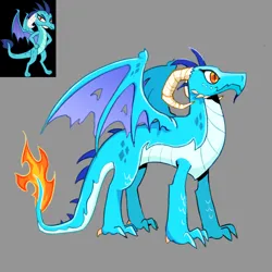 Size: 2048x2048 | Tagged: safe, artist:cracklewink, derpibooru import, princess ember, dragon, concave belly, gray background, image, png, quadrupedal, redesign, screencap reference, simple background, solo, tail, tail of fire