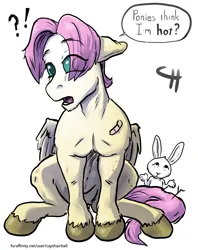 Size: 2662x3354 | Tagged: safe, artist:capt_hairball, derpibooru import, angel bunny, fluttershy, pegasus, bandaid, bite mark, butterscotch, dialogue, eye clipping through hair, image, lilith bunny, looking at you, male, open mouth, png, rule 63, scrapes, shrug, solo, twig, unshorn fetlocks