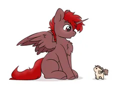 Size: 1190x892 | Tagged: safe, artist:mariashek, derpibooru import, oc, oc:dima, oc:hardy, alicorn, pegasus, pony, chest fluff, chibi, commission, image, looking at each other, looking at someone, male, png, simple background, size difference, smol, spread wings, stallion, white background, wings, ych result