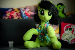 Size: 1800x1200 | Tagged: safe, artist:littlefairyswonders, oc, oc:anonfilly, pony, clothes, female, filly, hawaiian shirt, image, irl, irl photo, jpeg, looking at you, photo, plushie, seams, shirt, sitting, smiling, solo