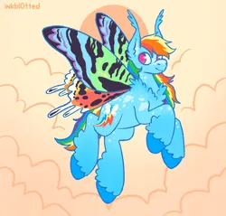 Size: 1481x1416 | Tagged: safe, derpibooru import, rainbow dash, insect, moth, mothpony, original species, pegasus, image, jpeg, redesign, solo