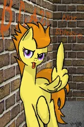 Size: 500x750 | Tagged: safe, artist:harleneap, derpibooru import, blaze, pegasus, pony, atg 2023, brick wall, feather fingers, graffiti, image, middle feather, middle finger, png, solo, vulgar, wing hands, wings, wonderbolts