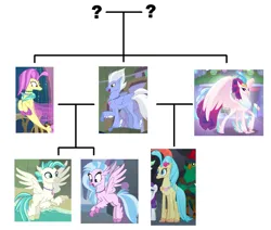 Size: 1441x1221 | Tagged: safe, derpibooru import, edit, edited screencap, screencap, ocean flow, princess skystar, queen novo, silverstream, sky beak, terramar, classical hippogriff, hippogriff, seapony (g4), my little pony: the movie, season 8, surf and/or turf, spoiler:s08, aunt and nephew, aunt and niece, brother, brother and sister, cousin, cousins, cropped, family tree, father, father and child, father and daughter, father and mother, father and son, female, flowbeak, g4, half-brother, half-cousins, half-siblings, half-sister, half-sisters, husband and wife, image, implied inbreeding, implied incest, inbreeding, incest, male, mother, mother and child, mother and daughter, mother and father, mother and son, png, question mark, royalty, shipping, siblings, sister, straight, symbol, wall of tags