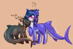 Size: 2269x1514 | Tagged: safe, artist:cozziesart, derpibooru import, ponerpics import, ponybooru import, oc, oc:ember, oc:guard cobalt flash, unofficial characters only, original species, pony, shark, shark pony, blushing, collar, confused, cute, derp, image, male, png, simple background, sniffing
