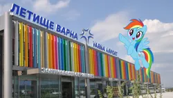 Size: 1500x845 | Tagged: safe, derpibooru import, rainbow dash, pony, bulgaria, bulgarian, image, irl, jpeg, photo, ponies in real life, solo, varna, varna airport