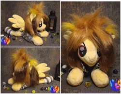 Size: 2560x2000 | Tagged: safe, artist:1stastrastudio, derpibooru import, ponified, pegasus, pony, alex gaskarth, all time low, button-up shirt, clothes, ear fluff, image, irl, jpeg, lying down, male, photo, plushie, prone, shirt, smiling, socks, solo, spread wings, stallion, striped socks, undershirt, wings