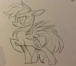 Size: 1280x1099 | Tagged: safe, artist:sigmapegasi, derpibooru import, rainbow dash, pegasus, pony, image, jpeg, monochrome, raised hoof, solo, spread wings, traditional art, wings