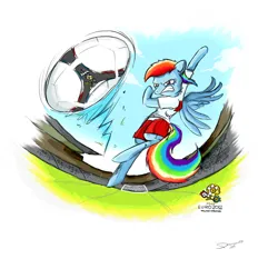Size: 1212x1132 | Tagged: safe, artist:damianuss, derpibooru import, rainbow dash, euro 2012, football, image, png, poland, soccer field, solo, sports