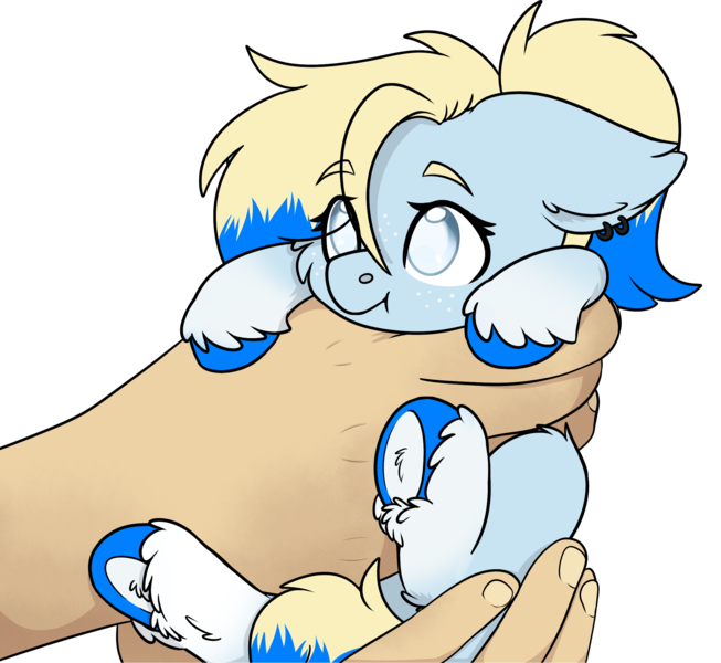 Size: 2294x2109 | Tagged: safe, artist:rokosmith26, derpibooru import, oc, oc:azure opus, unofficial characters only, human, pegasus, pony, blind, cheek fluff, commission, cute, ear fluff, ear piercing, female, floppy ears, freckles, hand, holding, holding a pony, image, in goliath's palm, looking up, mare, piercing, png, ponytail, simple background, size difference, solo, tail, tiny, tiny ponies, transparent background, two toned mane, two toned tail, underhoof, unshorn fetlocks, ych result