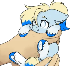 Size: 2294x2109 | Tagged: safe, artist:rokosmith26, derpibooru import, oc, oc:azure opus, unofficial characters only, human, pegasus, pony, blind, cheek fluff, commission, cute, ear fluff, ear piercing, female, floppy ears, freckles, hand, holding, holding a pony, image, in goliath's palm, looking up, mare, piercing, png, ponytail, simple background, size difference, solo, tail, tiny, tiny ponies, transparent background, two toned mane, two toned tail, underhoof, unshorn fetlocks, ych result