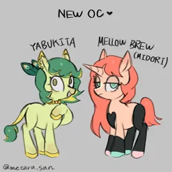 Size: 2560x2560 | Tagged: safe, artist:metaruscarlet, derpibooru import, oc, oc:mellow brew, oc:yabukita, unofficial characters only, earth pony, pony, unicorn, ear piercing, earring, earth pony oc, gray background, heart, horn, image, jewelry, looking at you, necklace, peacock feathers, piercing, png, simple background, unicorn oc