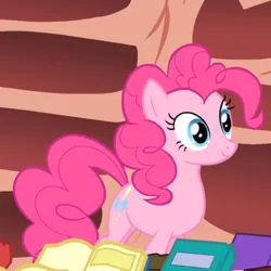 Size: 522x523 | Tagged: safe, derpibooru import, screencap, pinkie pie, earth pony, pony, season 1, sonic rainboom (episode), book, cropped, female, golden oaks library, image, library, mare, pile of books, png, smiling, solo, standing