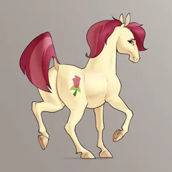 Size: 2500x2500 | Tagged: safe, artist:aquaticvibes, derpibooru import, roseluck, earth pony, pony, butt, dock, female, gradient background, hoers, image, looking at you, looking back, looking back at you, mare, plot, png, raised hoof, raised leg, solo, tail