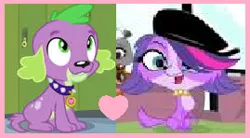 Size: 269x148 | Tagged: safe, artist:sweetheart1012, derpibooru import, spike, best ship, boyfriend and girlfriend, crossover, crossover shipping, female, hat, heart, image, littlest pet shop, male, png, shipping, straight, zoe trent, zoespike