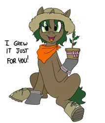 Size: 3600x4200 | Tagged: safe, artist:pony quarantine, derpibooru import, oc, oc:pine shine, unofficial characters only, pony, unicorn, bandana, boots, bow, clothes, female, hat, image, looking at you, mare, open mouth, open smile, plant, png, potted plant, present, shoes, simple background, sitting, smiling, smiling at you, solo, straw hat, talking, text, white background