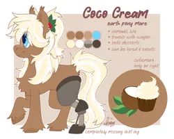 Size: 2500x2000 | Tagged: safe, artist:lionbun, derpibooru import, oc, oc:cococream, pony, amputee, character design, cute, female, image, mare, png, prosthetic leg, prosthetic limb, prosthetics, reference sheet