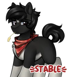 Size: 427x467 | Tagged: safe, artist:stablegrass, derpibooru import, oc, oc:stable, pony, bandana, clothes, grumpy, image, male, markings, png, shading, simple background, stallion, stern, straw in mouth, white background