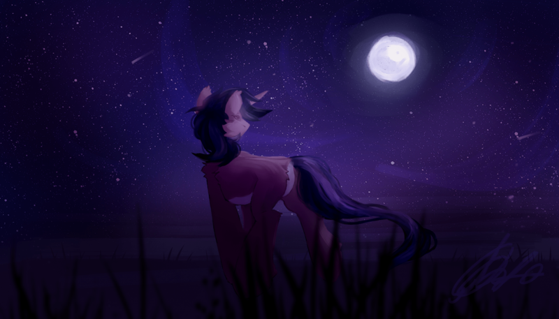 Size: 1920x1097 | Tagged: safe, artist:m_lik, derpibooru import, oc, oc:dreaming star, unofficial characters only, bat pony, bat pony unicorn, hybrid, pony, unicorn, butt, commission, horn, image, male, moon, moonlight, night, night sky, outdoors, pale belly, plot, png, scenery, sky, stallion, ych result