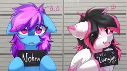 Size: 5931x3312 | Tagged: safe, artist:lunylin, derpibooru import, oc, oc:lunylin, oc:nohra, unofficial characters only, earth pony, pegasus, pony, barbie mugshot meme, duo, earth pony oc, eye clipping through hair, female, floppy ears, high res, image, jpeg, looking at you, mare, meme, mugshot, name, open mouth, pegasus oc, signature, wings