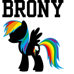Size: 4104x4160 | Tagged: safe, derpibooru import, rainbow dash, pegasus, pony, brony, clothes, costume, craft, g4, image, png, shirt, simple background, t-shirt, transparent background, vector