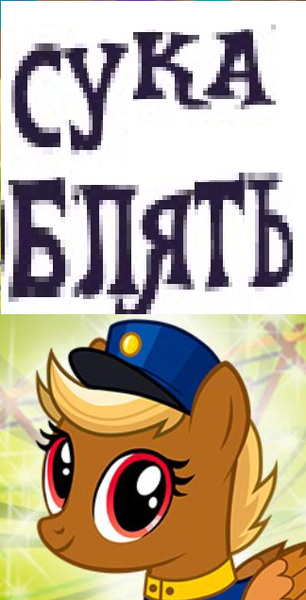 Size: 324x636 | Tagged: safe, derpibooru import, caption, counter-strike: global offensive, cyrillic, expand dong, exploitable meme, forced meme, image, image macro, meme, png, russian, rytp, shitfuck meme, swift reply, text, vulgar, youtube poop