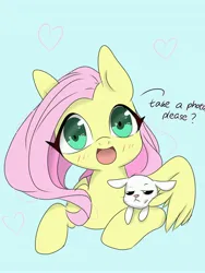 Size: 3072x4096 | Tagged: safe, artist:twiliset, derpibooru import, fluttershy, pegasus, pony, rabbit, angle, animal, feather, heart, hug, image, jpeg, looking at you, open mouth, red face, simple background, unhappy, wings