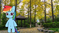 Size: 1920x1080 | Tagged: safe, artist:tjpones, derpibooru import, derpy hooves, rainbow dash, earth pony, pony, animated, bipedal, duo, english, female, frog costume, image, japanese, mare, moon runes, real life background, webm
