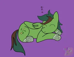 Size: 1837x1408 | Tagged: safe, artist:darkderp, derpibooru import, oc, oc:windy barebow evergreen, unofficial characters only, pegasus, cute, gift art, image, lying down, onomatopoeia, png, purple background, simple background, sleeping, solo, sound effects, zzz