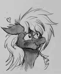 Size: 1559x1876 | Tagged: safe, artist:reekosukanku, derpibooru import, oc, oc:reeko, earth pony, pony, skunk, skunk pony, bust, cute, fangs, happy, image, jpeg, male, monochrome, pencil drawing, photo, portrait, simple shading, sketch, solo, stallion, traditional art