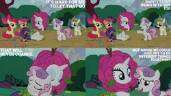 Size: 2000x1125 | Tagged: safe, derpibooru import, edit, edited screencap, editor:quoterific, screencap, apple bloom, rarity, ripley, scootaloo, sweetie belle, zippoorwhill, forever filly, cutie mark crusaders, image, png