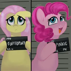 Size: 3000x3000 | Tagged: safe, artist:flutterpawss, derpibooru import, fluttershy, pinkie pie, earth pony, pegasus, pony, barbie mugshot meme, cute, diapinkes, duo, female, frown, high res, hoof hold, image, jpeg, mare, meme, mugshot, open mouth, open smile, shyabetes, smiling