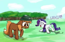 Size: 1866x1200 | Tagged: safe, artist:valeidem, rarity, ponified, ponified:sgt. reckless, pony, drawthread, eating, field, grazing, image, png, screaming