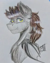 Size: 1243x1554 | Tagged: safe, artist:shamy-crist, derpibooru import, oc, oc:devin, bat pony, pony, bat pony oc, bat wings, brown mane, bust, cute, image, jpeg, looking at you, male, sketch, smiling, solo, stallion, traditional art, wings