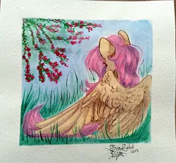 Size: 3304x3072 | Tagged: safe, artist:jsunlight, derpibooru import, fluttershy, pegasus, pony, image, jpeg, solo, traditional art