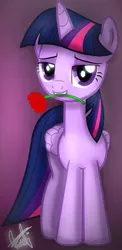 Size: 387x792 | Tagged: safe, artist:orange becrux, derpibooru import, twilight sparkle, twilight sparkle (alicorn), alicorn, pony, female, flower, flower in mouth, image, jpeg, looking at you, mouth hold, rose, rose in mouth, solo
