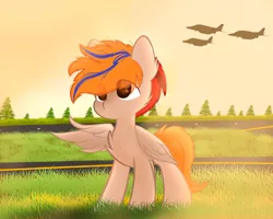 Size: 5150x4115 | Tagged: safe, artist:fededash, derpibooru import, oc, oc:fededash, unofficial characters only, pegasus, airport, argentina, crepuscular rays, event, glass, image, pegasus oc, plane, png, solo, tree, wings