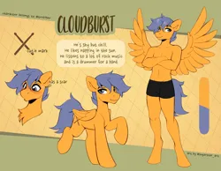 Size: 3831x2970 | Tagged: safe, artist:sugarstar, derpibooru import, oc, oc:cloudburst, anthro, pegasus, pony, blushing, clothes, crossed arms, cutie mark, image, png, reference sheet, scar, smiling, spread wings, standing, wings