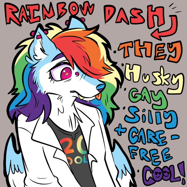 Size: 1000x1000 | Tagged: safe, artist:muckyschmuck, derpibooru import, rainbow dash, anthro, dog, husky, 20% cooler, :p, alternate universe, dogified, ear piercing, fangs, hair over one eye, headcanon, image, piercing, png, pronouns, rainbow dog, sexuality headcanon, solo, species swap, tongue out, winged dog, wings