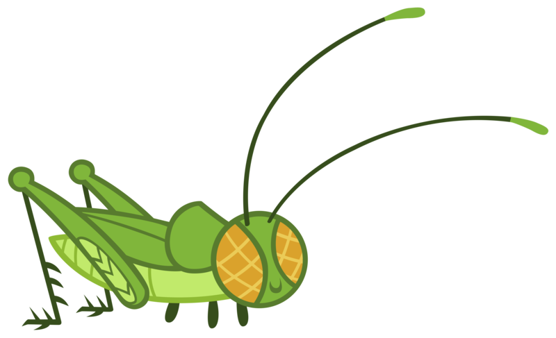 Size: 4937x3007 | Tagged: safe, artist:andoanimalia, derpibooru import, insect, may the best pet win, cricket (insect), image, png, simple background, transparent background, vector